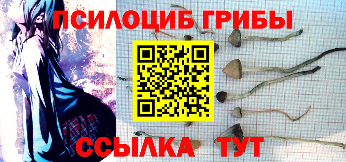 Тында  Галлюциногенные грибы MAGIC MUSHROOMS  Вход с VPN 